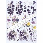 3D Precut Sheet - Flowers Gentian & Bellflower