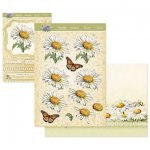 Sweet Like Daisies - In Full Bloom Deco Large Set