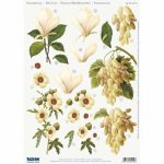 3D Precut Sheet - Magnolia, Grapes, Hibiscus