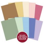 Forever Florals - Wildflowers - Matt-Tastic Selection