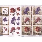 3D Precut Sheet - Floral Window Cards