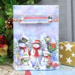 Deco-Large Set - Snowy Wishes