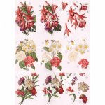 3D Precut Sheet - Flowers Carnations & Fuchsia