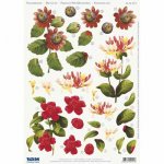 3D Precut Sheet - Passion Flower, Camelia, Honeysuckle