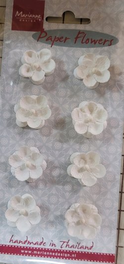 Paper Flowers - White - Small